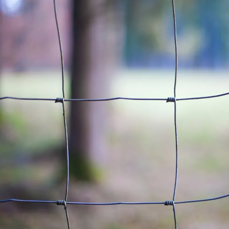 Cerca para ovejas y cabras