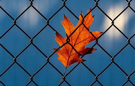 La superioridad de la malla de alambre Anping en el mercado norteamericano