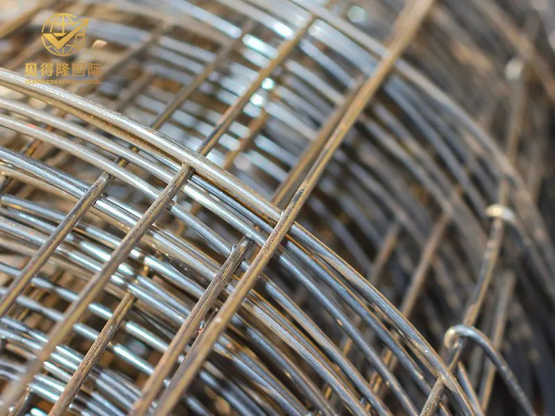 Rollo de malla soldada galvanizada