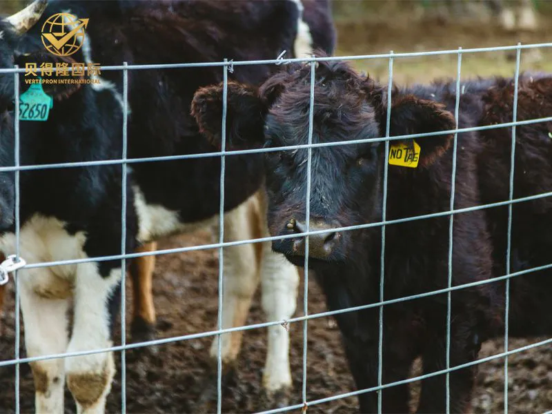 Valla para ganado y bisontes