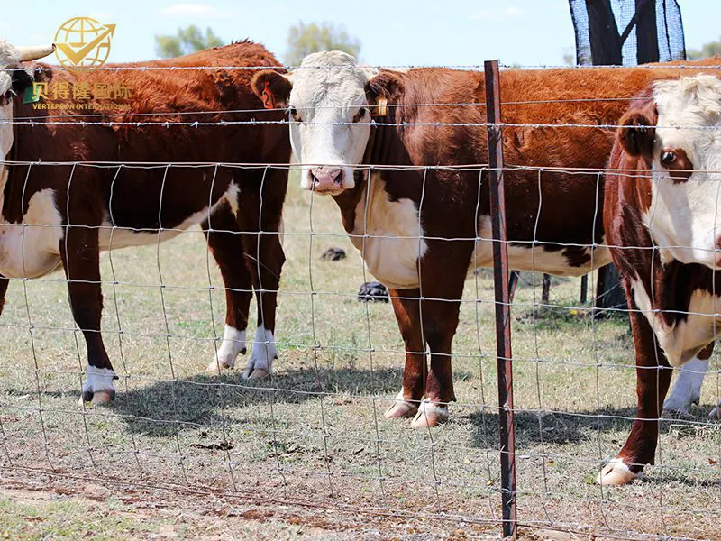 Valla para ganado y bisontes