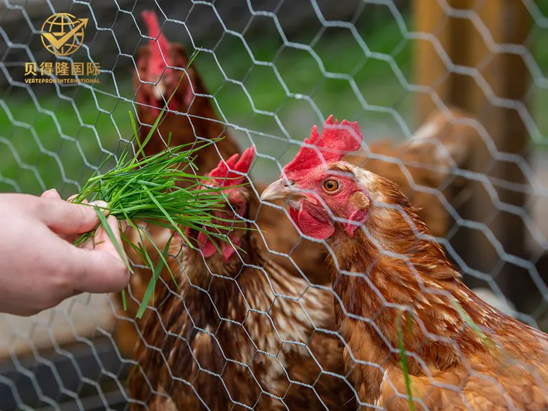 Valla para aves de corral