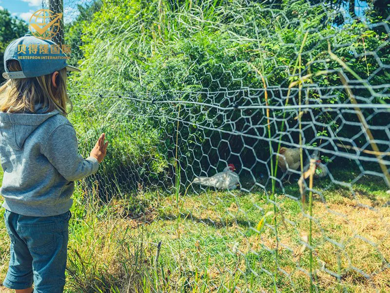 Valla para aves de corral