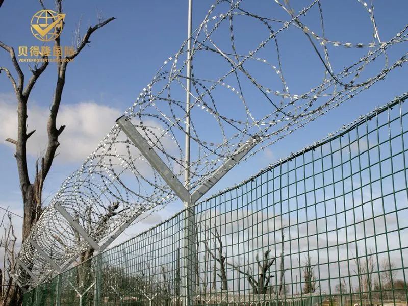 Alambre de afeitar concertina