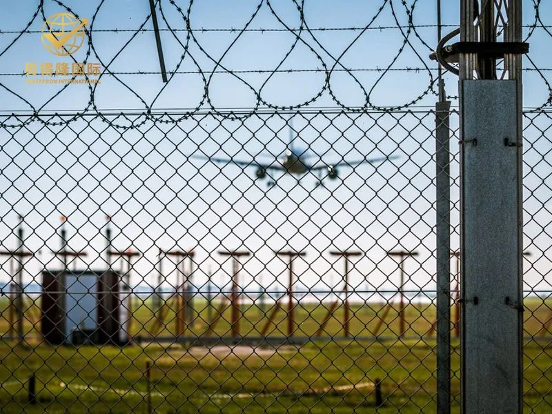 Alambre de afeitar concertina