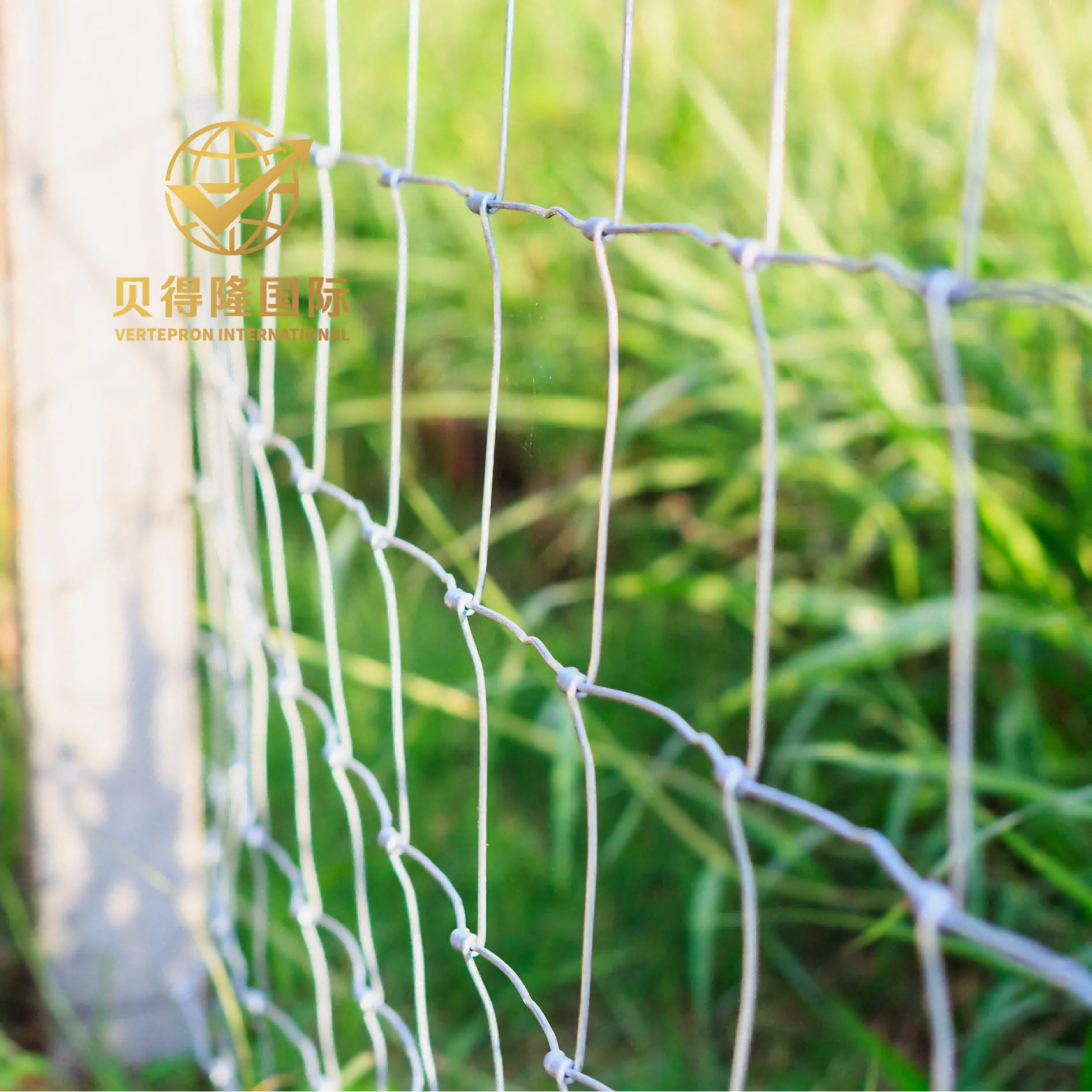 Cerca para ovejas y cabras