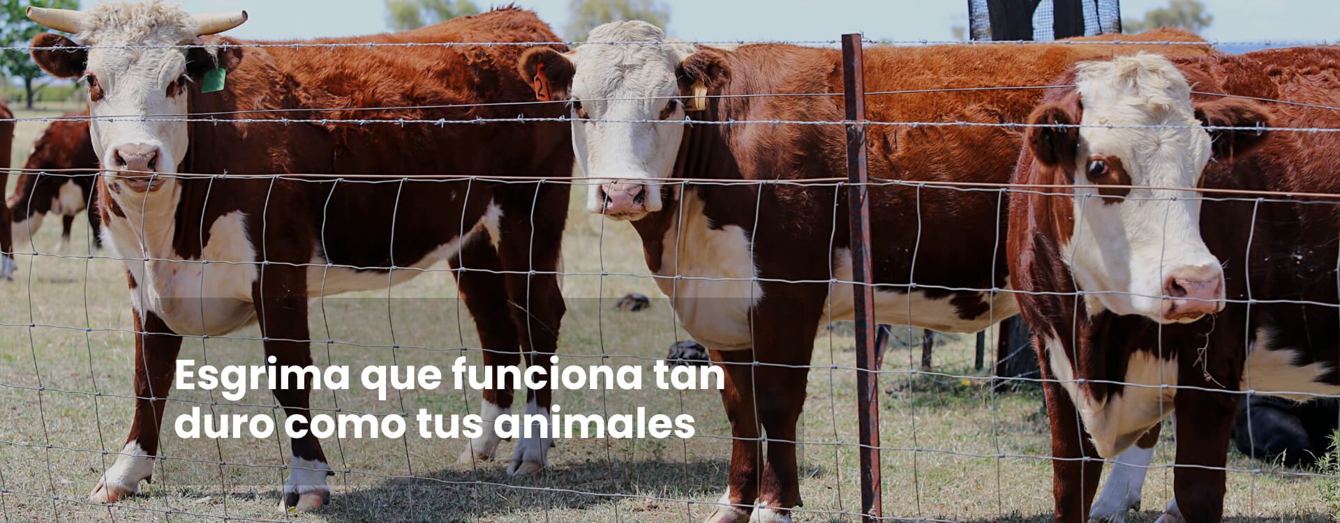 Valla para ganado y bisontes